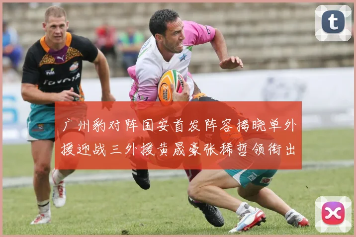 广州豹对阵国安首发阵容揭晓单外援迎战三外援黄晟豪张稀哲领衔出战